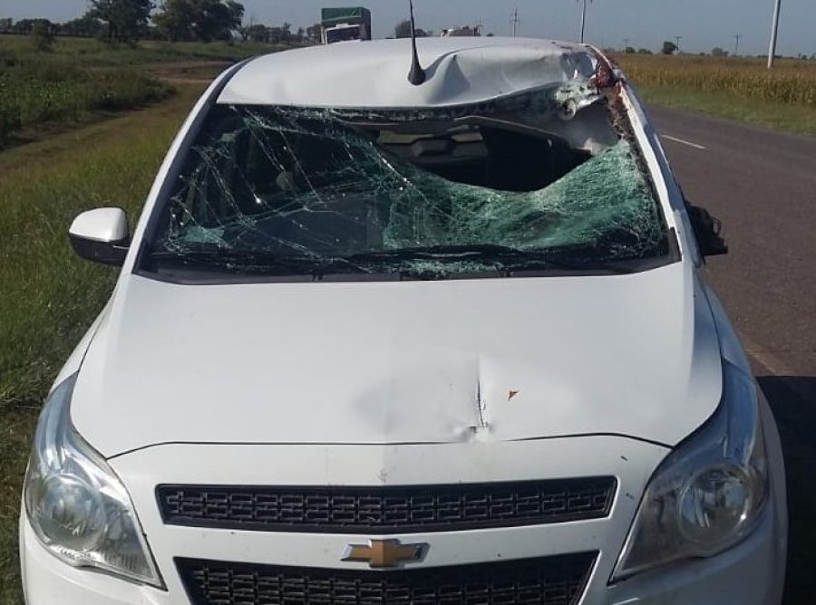 FOTO RBS PARABRISAS. Qued&oacute; destrozado luego del impacto con el equino.