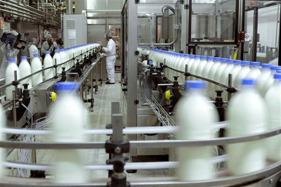 FOTO ARCHIVO PRODUCCION DE LECHE. Crecer&aacute; 2,2 por ciento en 2020, de acuerdo a proyecciones realizadas por el OCLA.  FOTO ARCHIVO LECHE. En el pa&iacute;s, alcanz&oacute; los 10.343,4 millones de litros en 2019.