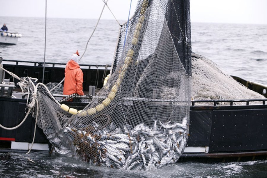 FOTO ARCHIVO PESCA. Transita una preocupante realidad.