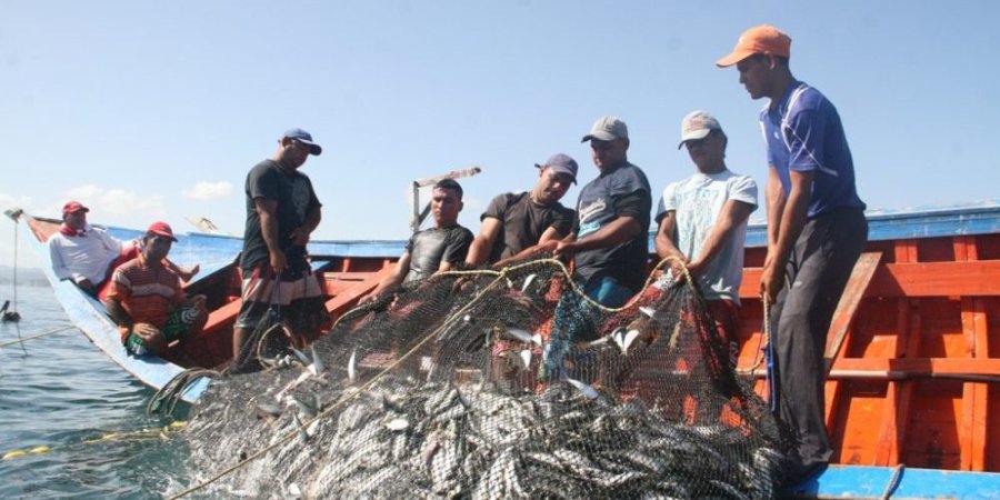 FOTO ARCHIVO PESCA. El sector m&aacute;s afectado en enero tuvo una contracci&oacute;n del 40,3%.