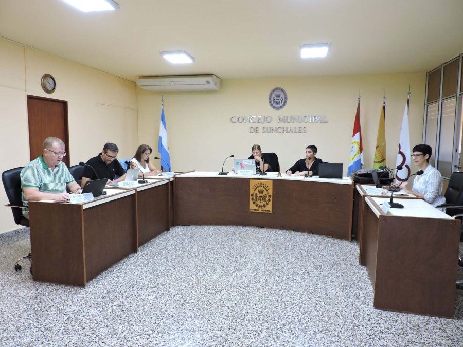 FOTO ARCHIVO// CONCEJALES./ La actividad prosigue de modo virtual.
