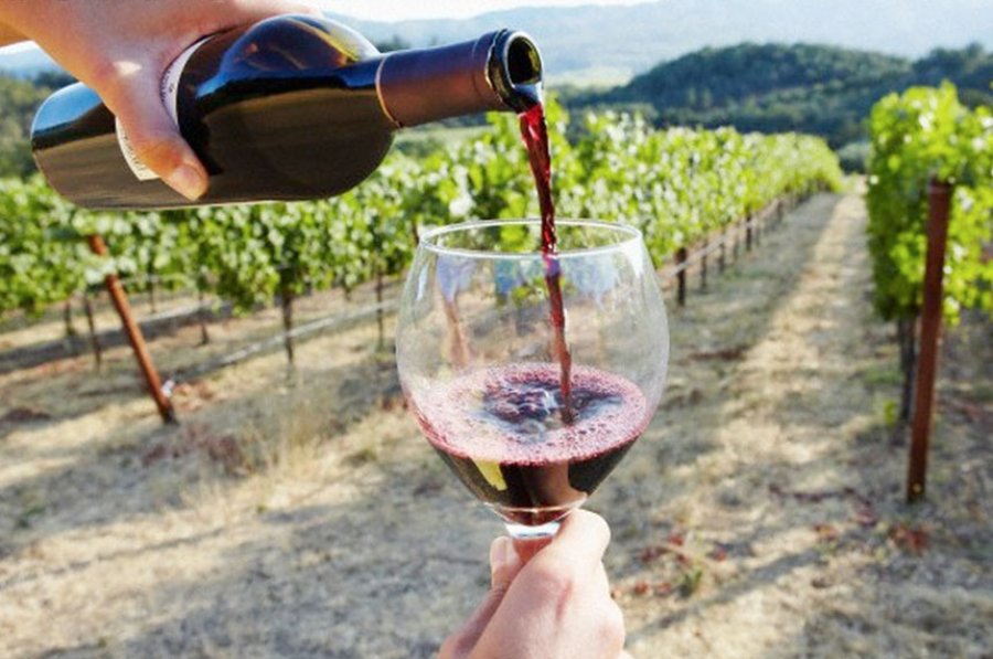 FOTO ARCHIVO VINOS. Los argentinos son de excelente calidad.