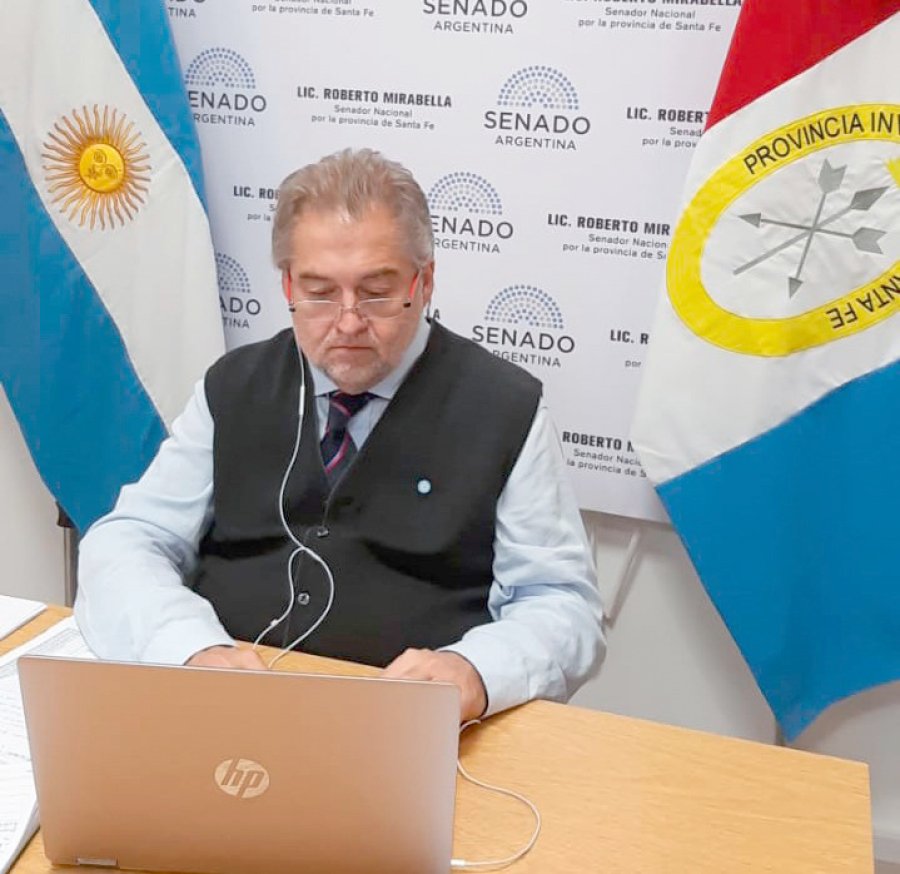 FOTO PRENSA MIRABELLA ROBERTO MIRABELLA. Particip&oacute; de la sesi&oacute;n virtual.
