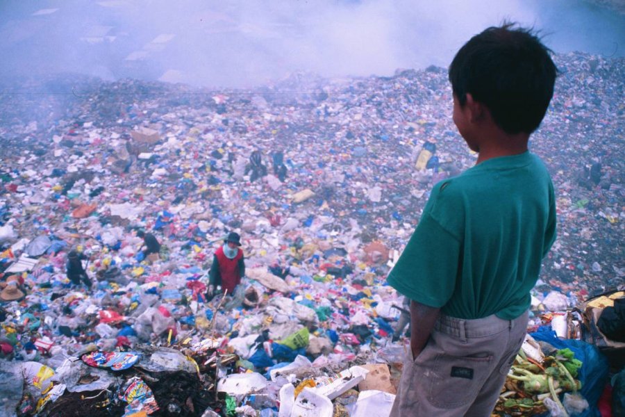FOTO ARCHIVO  AMBIENTE. Requiere de acciones urgentes en defensa de la naturaleza.
