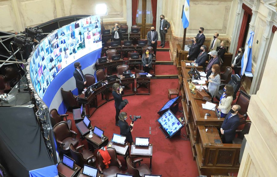 FOTO NA SENADORES. La sesi&oacute;n virtual fue presidida por Cristina Fern&aacute;ndez.