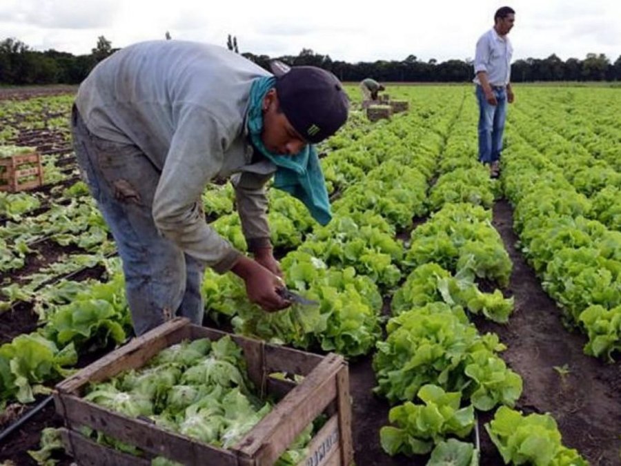 FOTO ARCHIVO TRABAJADORES. Cobran un m&aacute;ximo de 11.000 pesos.