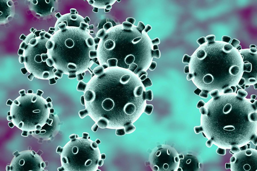 FOTO INTERNET CORONAVIRUS