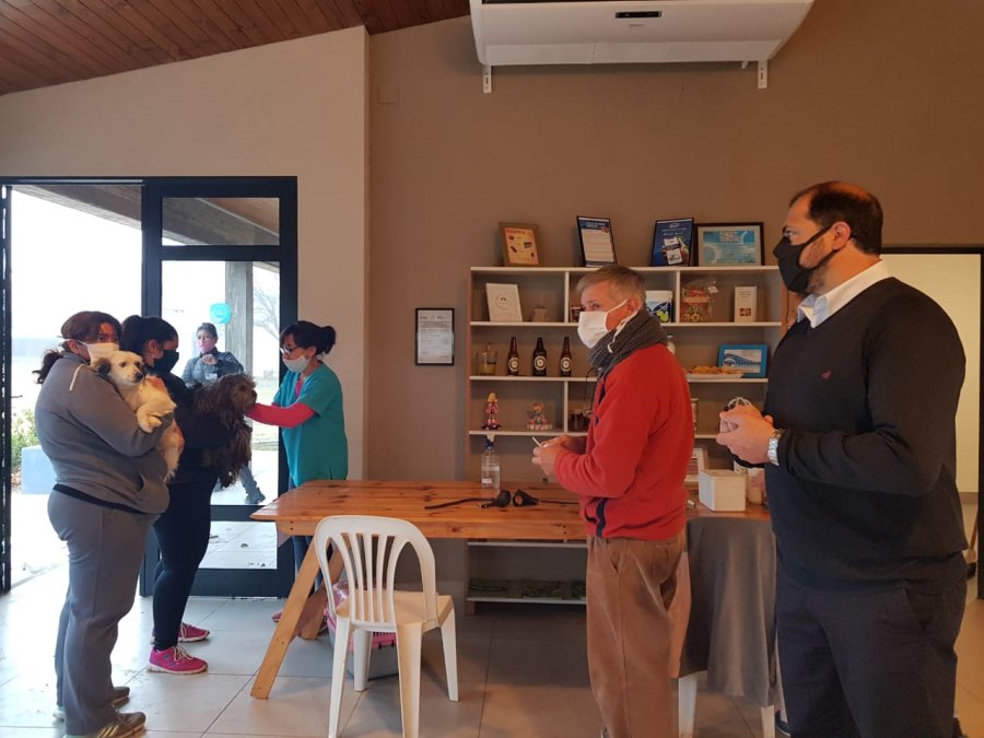 FOTO PRENSA COMUNA// ENTUBADO// Est&aacute; ejecut&aacute;ndose en calle Saavedra. VACUNACI&Oacute;N ANTIRR&Aacute;BICA//La tarea se concret&oacute; en el NIDO. VAG&Oacute;N// Las tareas de recuperaci&oacute;n las lleva adelante Turismo Rural con voluntarios.