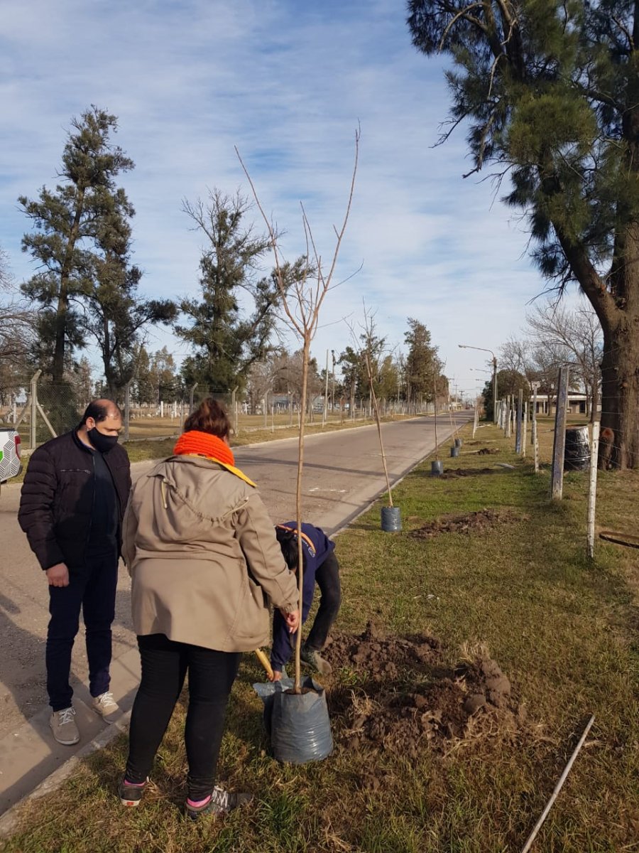 FOTO PRENSA COMUNA// CICLOVIA// Los trabajos están ejecutándose en el Paseo del Norte. ARBOLADO.// Se lleva adelante la reposición de ejemplares.