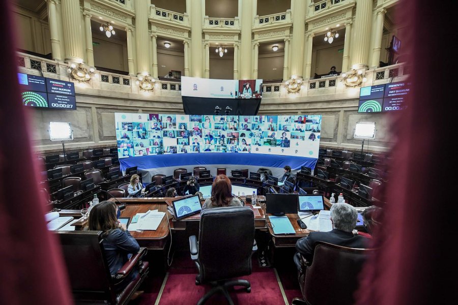 FOTO NA SENADO. En su sesi&oacute;n virtual dio aprobaci&oacute;n a tres importantes leyes.