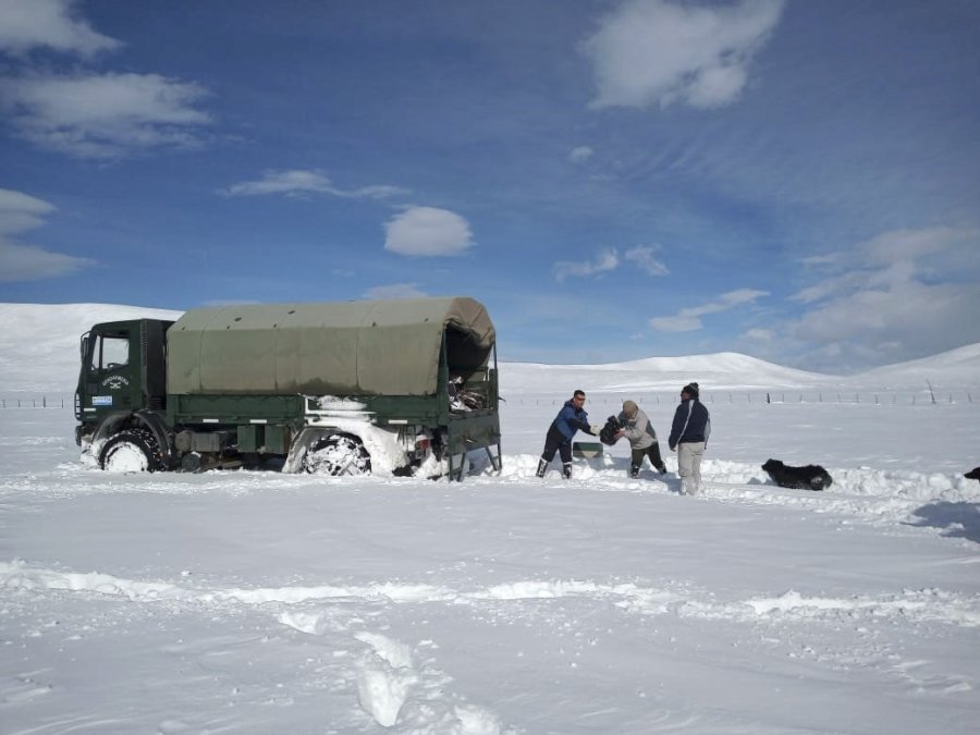 FOTO NA// MANTO BLANCO// Se extiende en todo el sur argentino.