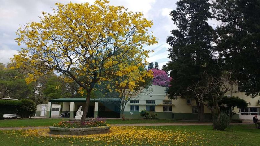 FOTO INTERNET ESCUELA GRANJA DE ESPERANZA. Se demuestra que todav&iacute;a se puede.