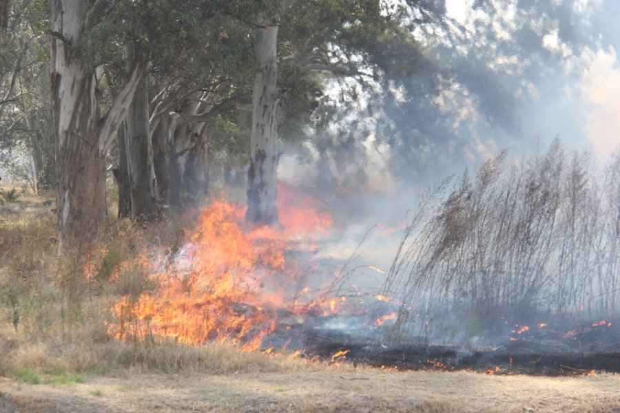 FOTO JORGE BARRERA DE MAGNITUD. Un incendio de 2 hect&aacute;reas de pastos secos ocurri&oacute; en el l&iacute;mite oeste de Rafaela. Las llamas llegaron a patios de viviendas.