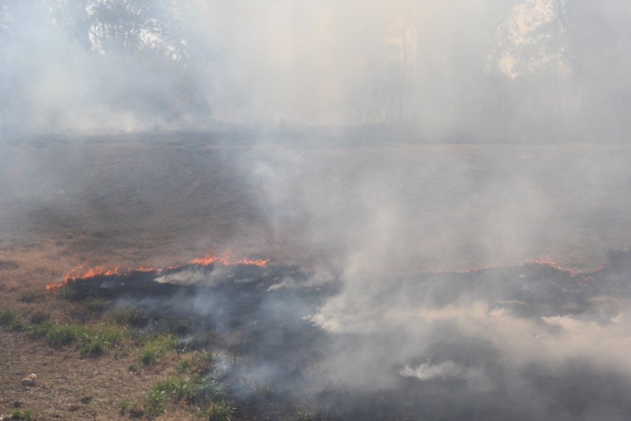 FOTO ARCHIVO EL HUMO, EL PROTAGONISTA. De los restos de los graves incendios de pastos, por las condiciones clim&aacute;ticas, a&uacute;n brota una fuerte humareda.