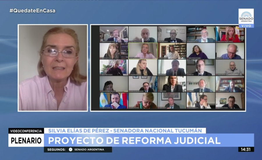 FOTO NA DEBATE VIRTUAL. Por ahora la reforma judicial sigue en comisi&oacute;n.