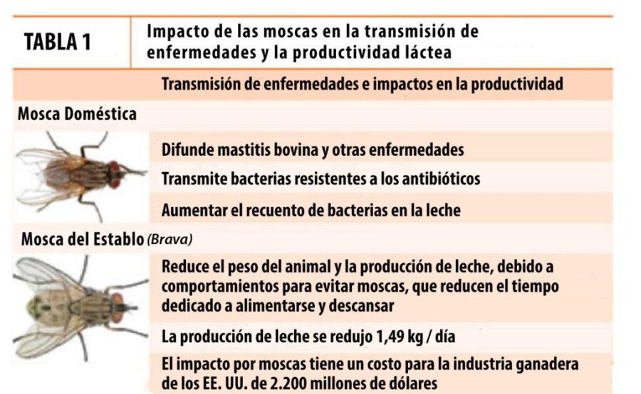 IMAGEN INTERNET