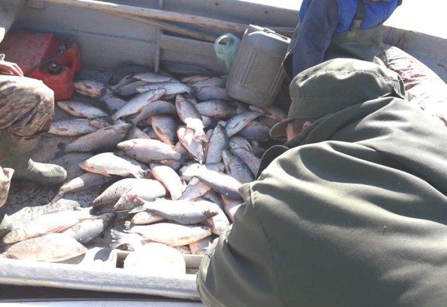 FOTO LA OPINION TRABAJO POLICIAL. Permiti&oacute; el decomiso de pescados. FOTO LA OPINION SABALOS. Fueron secuestrados 700.