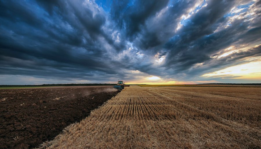 IMAGEN INTERNET PRODUCTORES RURALES. Se ver&aacute;n beneficiados si adoptan pr&aacute;cticas clim&aacute;ticamente inteligentes.  IMAGEN INTERNET ALEJANDRO GIRARDI. Director de Asuntos Corporativos y Sustentabilidad para Bayer C.S.