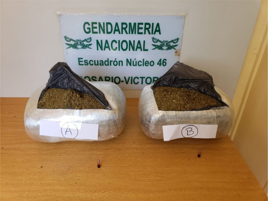 FOTO GNA CANNABIS SATIVA. En los paquetes encontraron 10 kilos 450 gramos de marihuana.