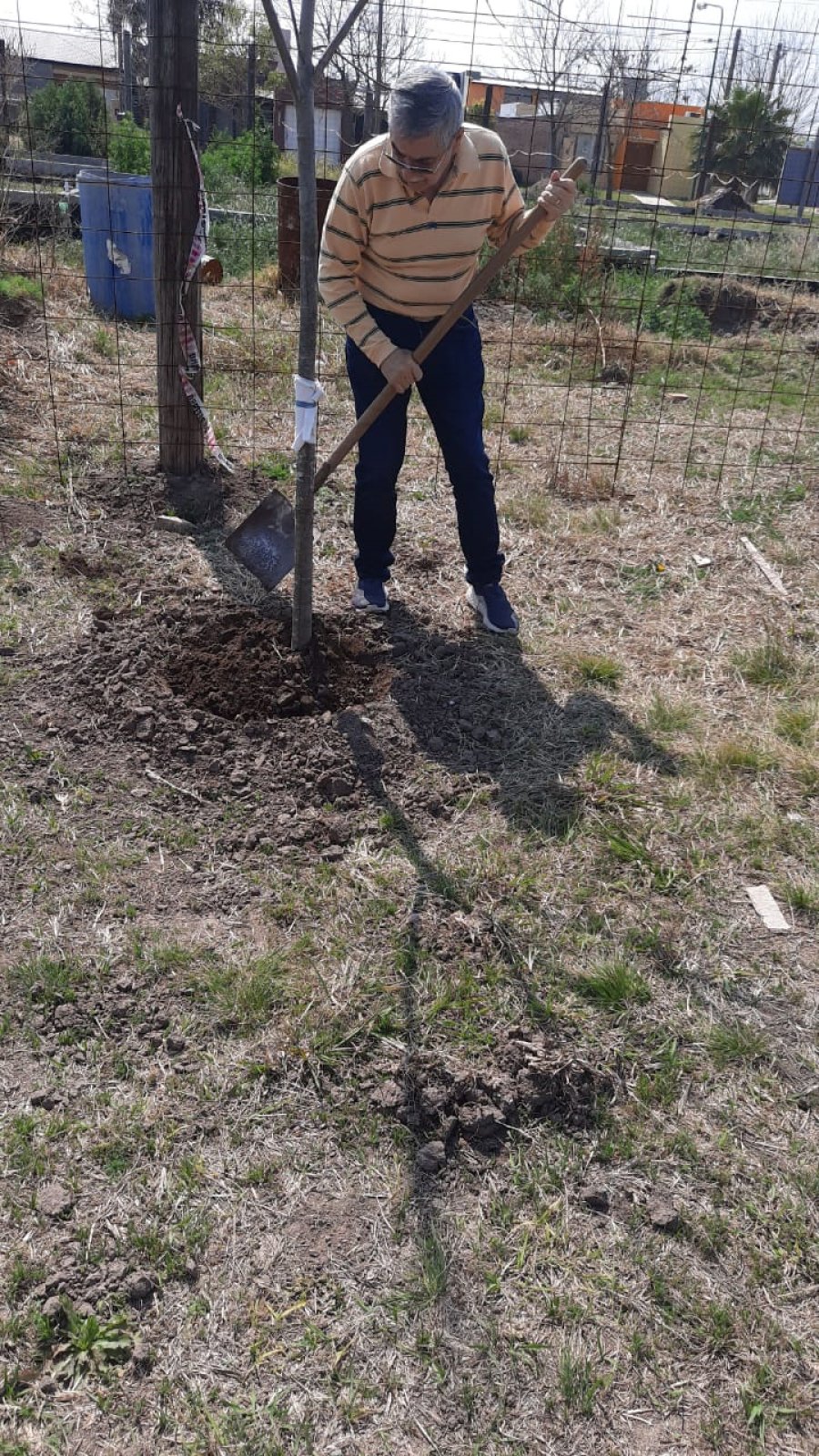 FOTO PRENSA CLUB LAZO DORADO. Apuntando a concientizar sobre el Cáncer pediátrico. ARBOLES// Cuidando una de las especies colocadas en el predio para el Centro de Día