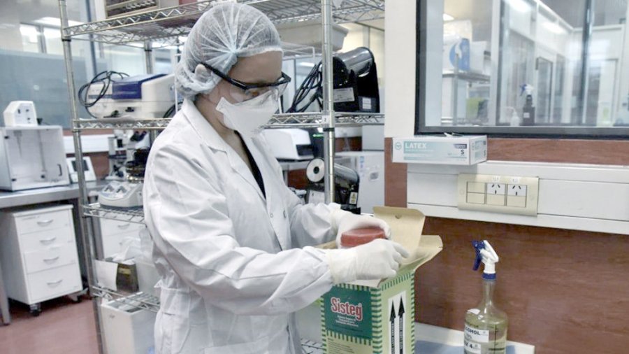 FOTO TELAM  ESTUDIOS. En los laboratorios contin&uacute;a el an&aacute;lisis de las muestras para confirmar casos positivos.