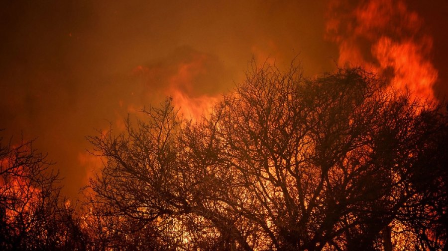 FOTO INFOBAE// ADOLESCENTES// Los cuatro autores del proyecto junto a sus mentores. FOTO M SAR// INCENDIOS FORESTALES// Conmovedora imagen registrada en las serranías cordobesas.