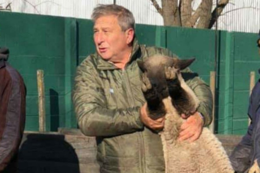 FOTO INTERNET ARIEL MANFROI. Hace 15 a&ntilde;os que tiene una caba&ntilde;a ovina de la raza Hampshire Down.  FOTO INTERNET PRODUCCION. Son 400 animales por a&ntilde;o.