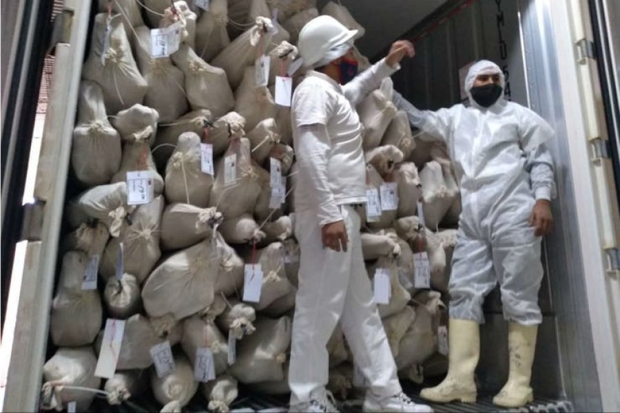 FOTO INTERNET CARNE DE CABRA. El frigor&iacute;fico Los Pinitos enviar&aacute; en total unas 51 toneladas a Sri Lanka..  FOTO INTERNET EXPORTACION. Carne de Cabra hacia Sri Lanka.