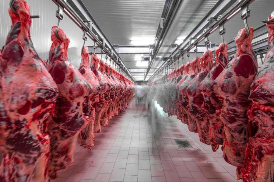 FOTO INTERNET CARNE. El Gobierno quiere evitar posibles maniobras de subfacturaci&oacute;n en exportaciones.  FOTO INTERNET EXPORTACIONES. Se apuesta a valores de referencia.