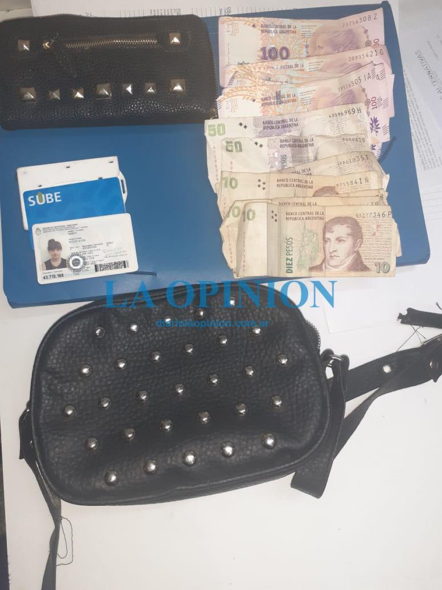 LO SECUESTRADO.  Tras el robo de una cartera, en esta ciudad.