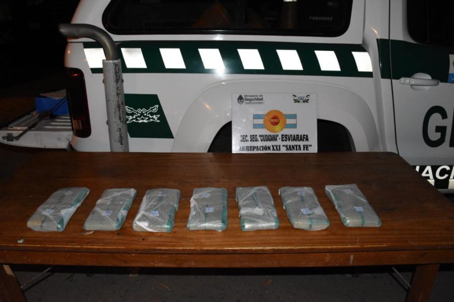 FOTO LA OPINION HOJAS DE COCA. El material secuestrado est&aacute; valuado en unos 84 mil pesos.