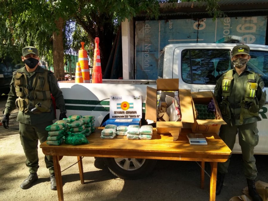 FOTO LA OPINION SECUESTRO. Los gendarmes junto a los 10,5 kg de hoja de coca, valuados aproximadamente en $ 252.000.