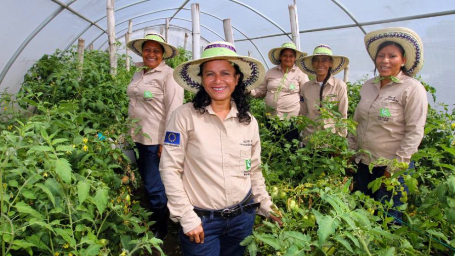 FOTO ARCHIVO MUJERES. Su trabajo es menos remunerado que el de los hombres.