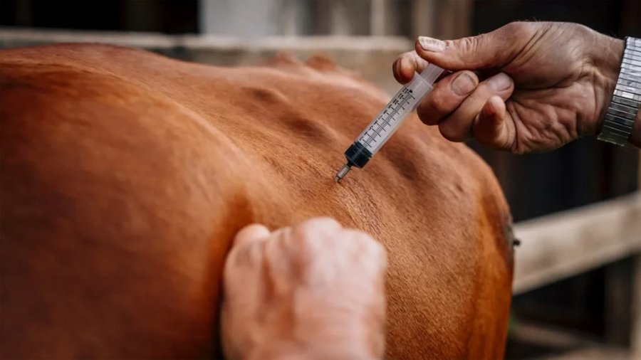 IMAGEN INTERNET ANTIBIOTICOS. Habr&aacute; prohibici&oacute;n del uso de microbianos.