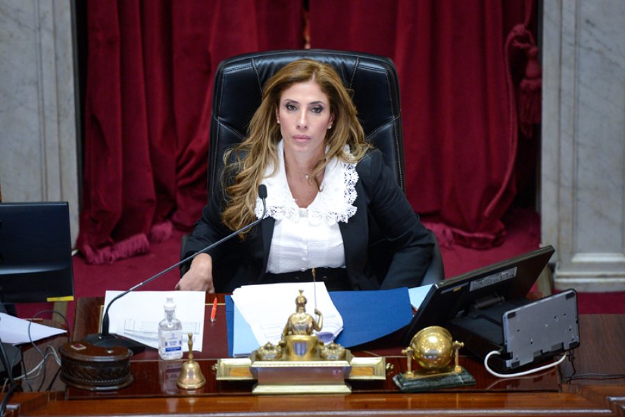 FOTO NA CAMARA ALTA. La senadora Abdala presidi&oacute; la sesi&oacute;n.