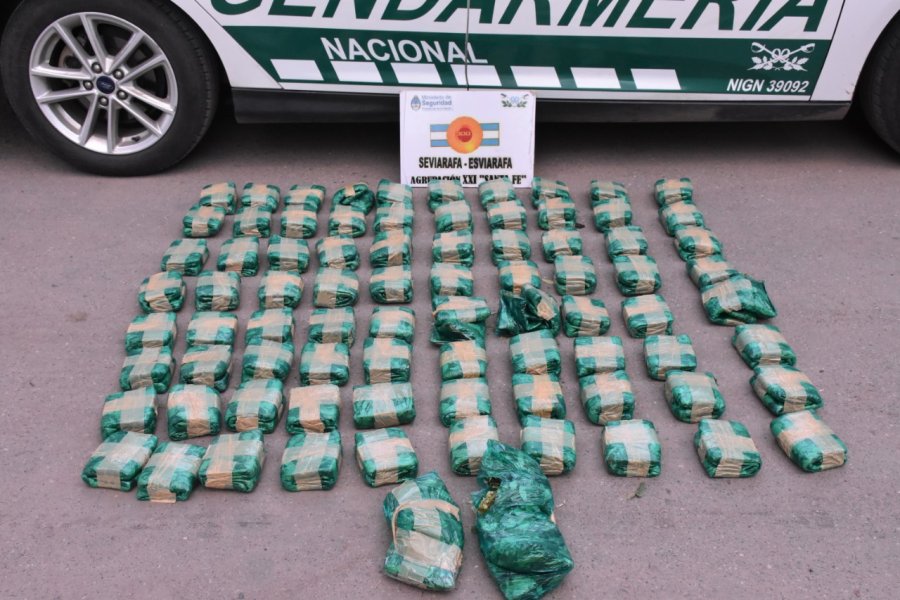 FOTO LA OPINION COCA EN HOJAS. Secuestraron 50 kilos. Es materia prima para elaborar coca&iacute;na.