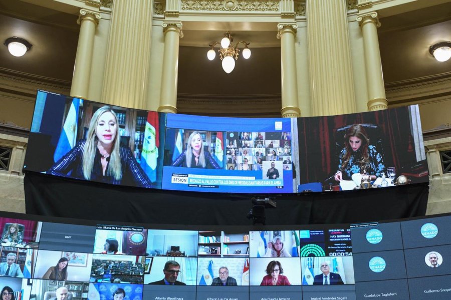 FOTO PRENSA SENADO PANTALLA GRANDE. La senadora Sacnun durante su participaci&oacute;n en la sesi&oacute;n del Senado.