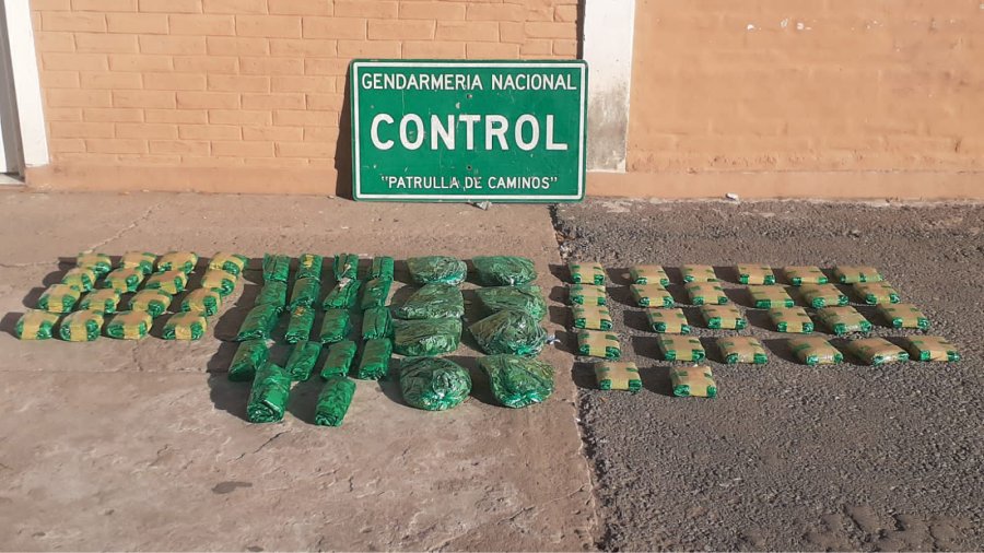 FOTO LA OPINION HOJAS DE COCA. 30 kilos de esta sustancia fueron incautados.