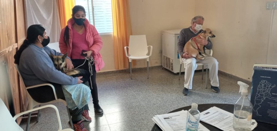 FOTO PRENSA COMUNA// JORNADA DE CASTRACI&Oacute;N// Fueron esterilizadas 25 mascotas.