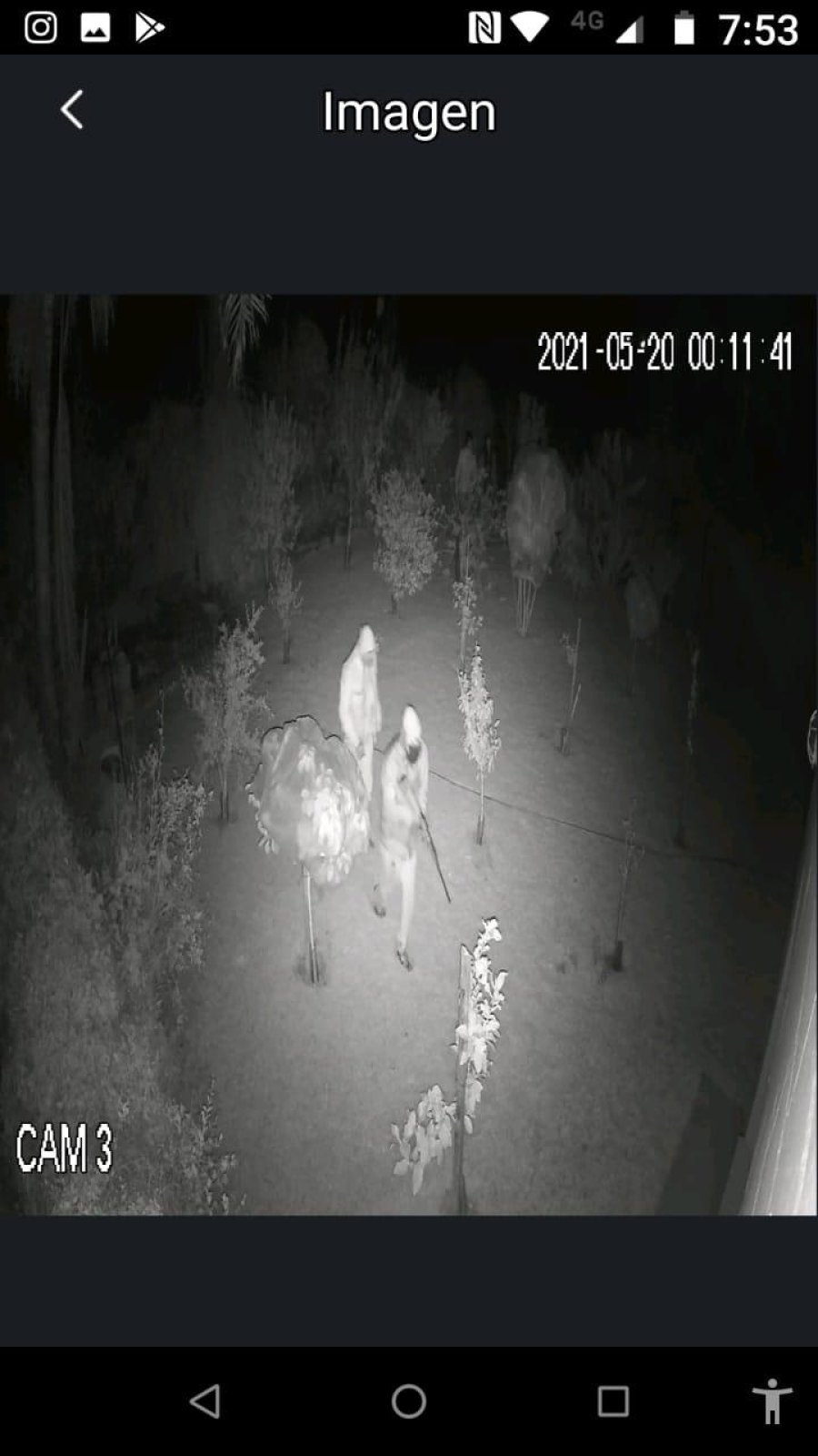 IMAGEN CAMARA VIDEOVIGILANCIA PRESENCIAS.