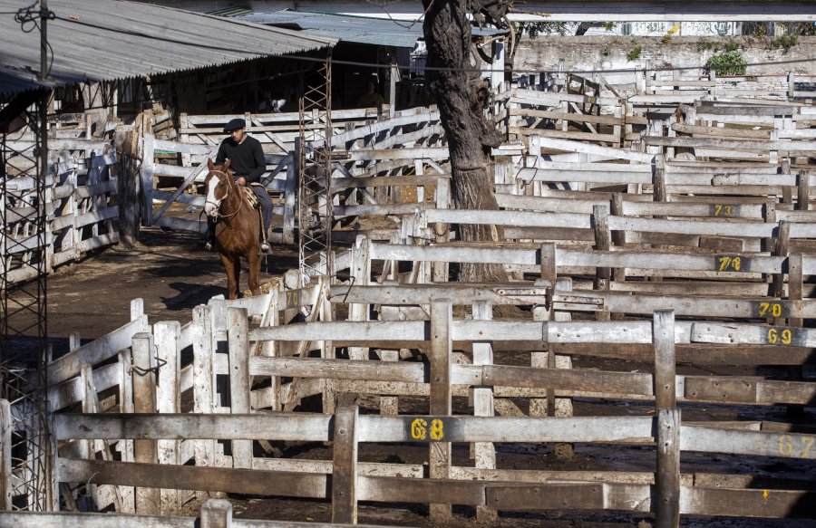 FOTO NA MERCADO DE LINIERS. Los corrales permanecieron vac&iacute;os este jueves.