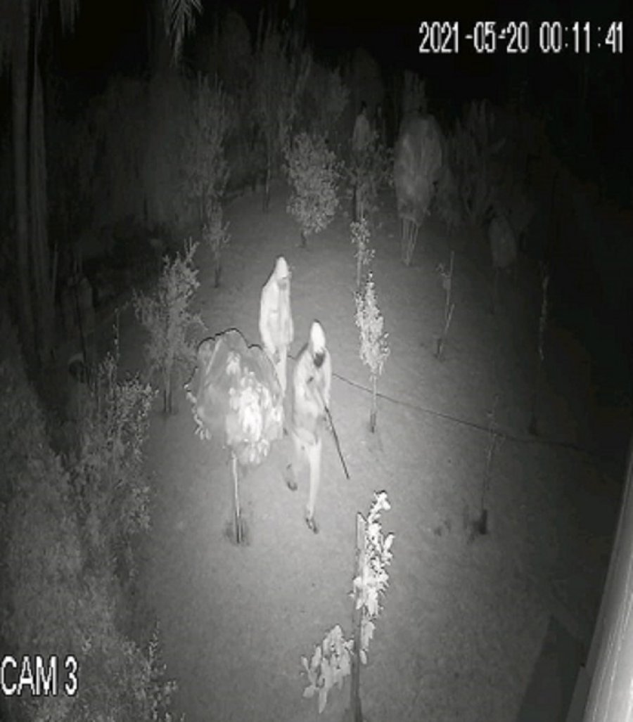 IMAGEN VIDEOVIGILANCIA  PRESENCIAS EXTRA&Ntilde;AS. Ocurri&oacute; en los primeros minutos de la jornada de la v&iacute;spera.