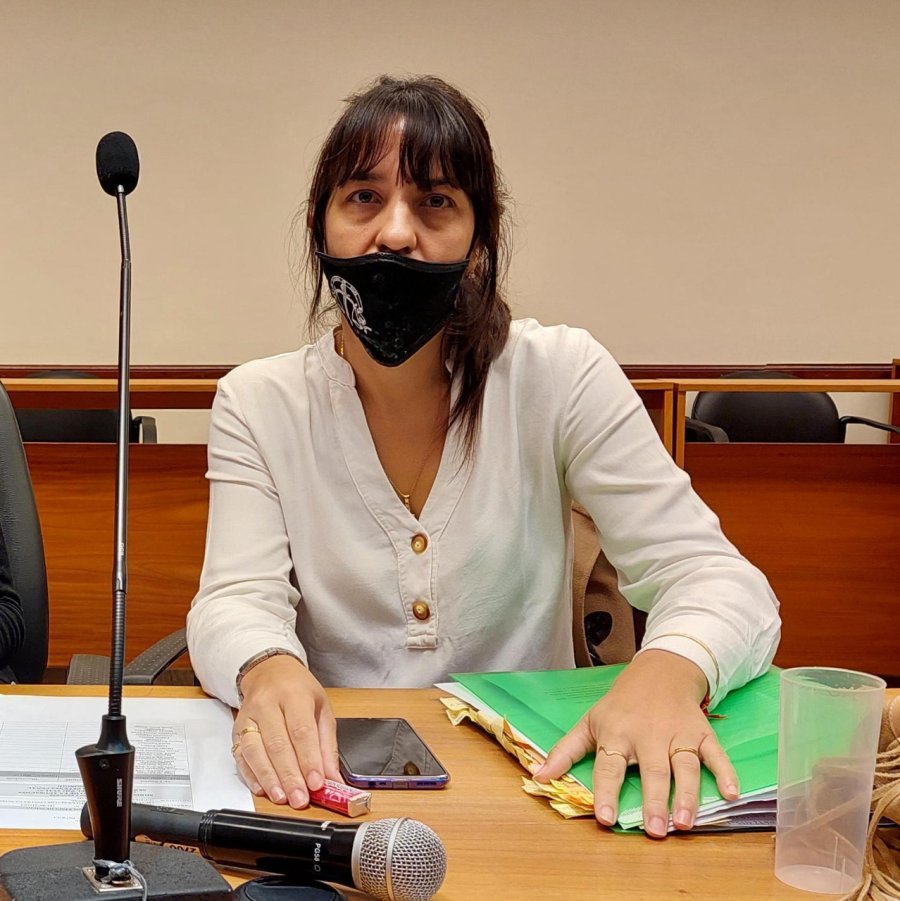 FOTO ARCHIVO REPRESENTO AL MPA. La fiscal Alejandra Del R&iacute;o Ayala investig&oacute; los il&iacute;citos.