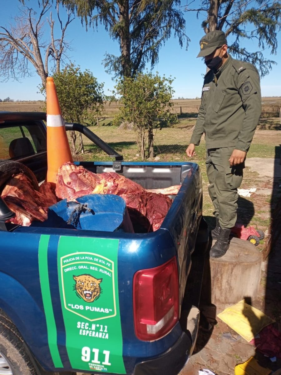 FOTO JPSF FAENA CLANDESTINA. Los uniformados secuestraron parte de la carne malhabida.