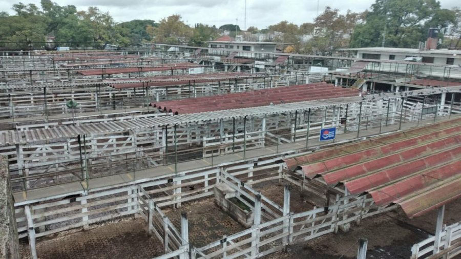 FOTO ARCHIVO MERCADO DE LINIERS. No se registran ingresos por el paro de las entidades agropecuarias.