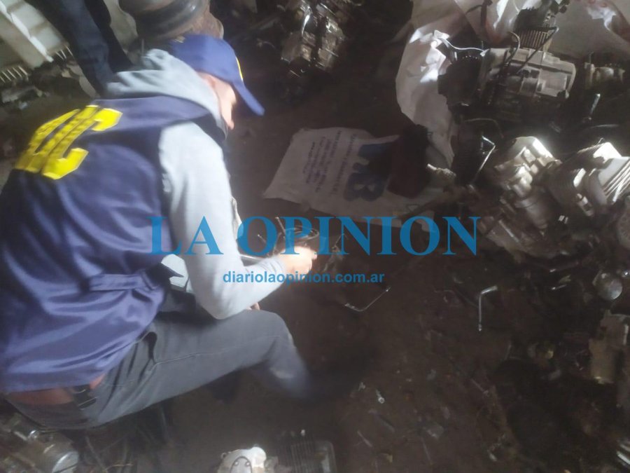PROCEDIMIENTO. Llevado a cabo hoy, en una chacarita rafaelina.