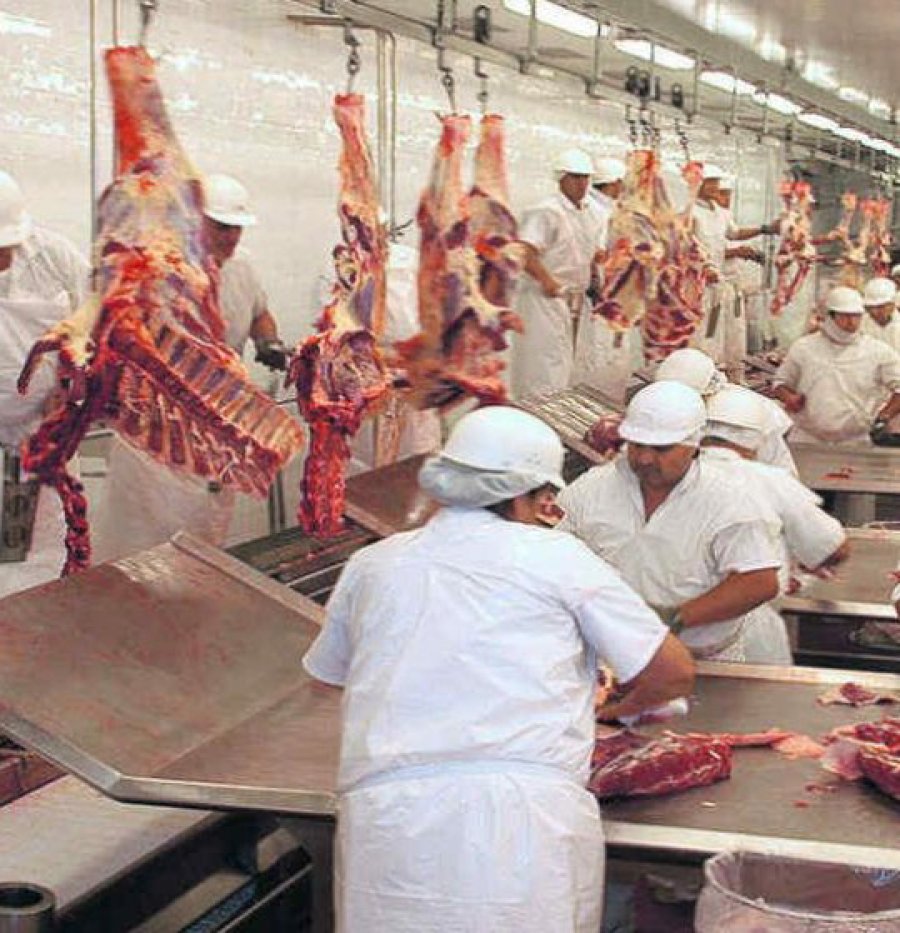 FOTO ARCHIVO FRIGORIFICOS. Los multar&aacute;n por irregularidades.
