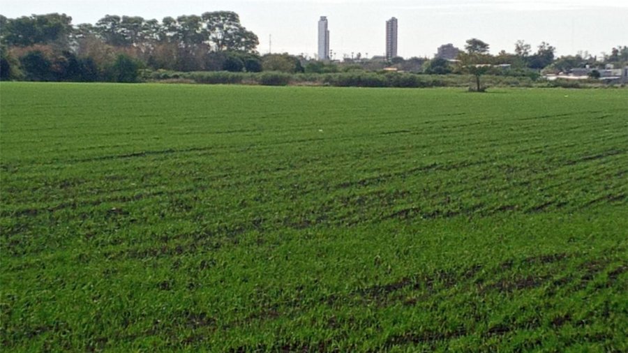 PERIURBANO. Productores rafaelinos manifestaron su postura ante los dichos del Presidente de la Naci&oacute;n.