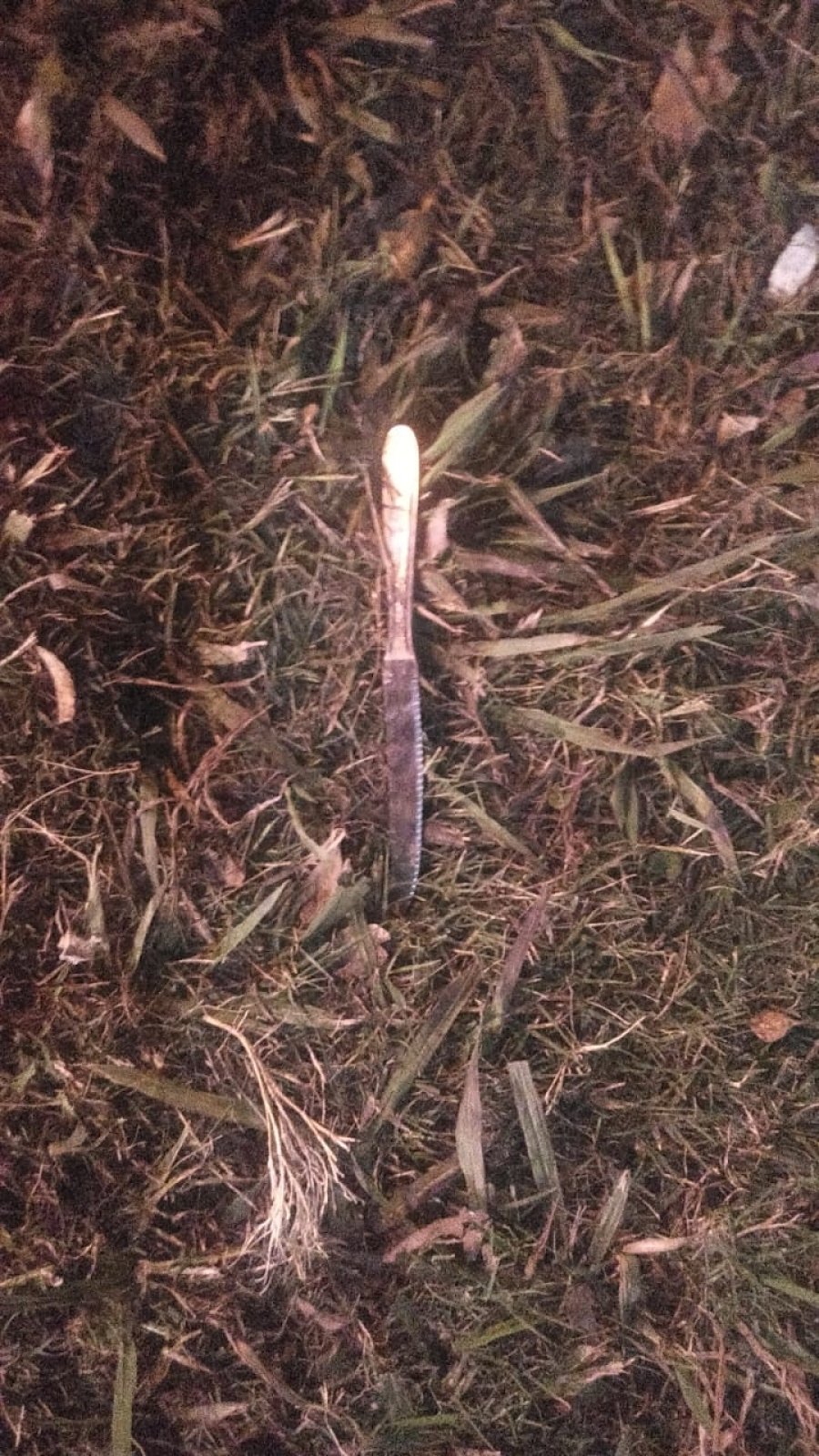 FOTO LA OPINION CUCHILLO. Arma con la que se amenaz&oacute; a personal de la GUR.