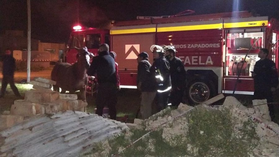 FOTO JPSF ACCIDENTE FATAL. Los bomberos lograron sacar al caballo cautivo con gr&uacute;as y mangas.